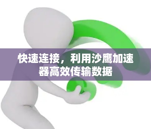 快速连接,利用沙鹰加速器高效传输数据 快速连接,利用沙鹰加速器高效传输数据