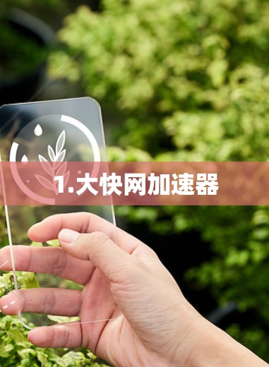 1.大快网加速器 1.大快网加速器