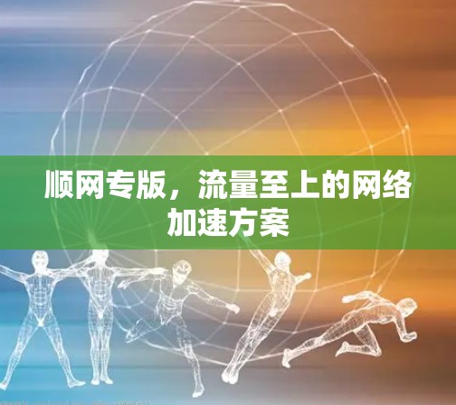 顺网专版,流量至上的网络加速方案 顺网专版,流量至上的网络加速方案