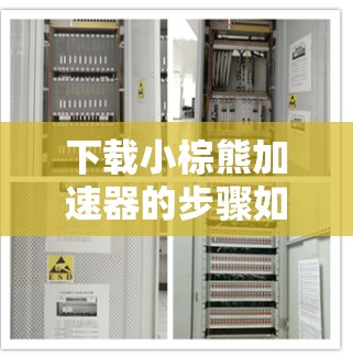 下载小棕熊加速器的步骤如下 下载小棕熊加速器的步骤如下
