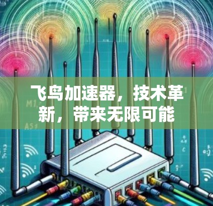 飞鸟加速器,技术革新,带来无限可能 飞鸟加速器,技术革新,带来无限可能