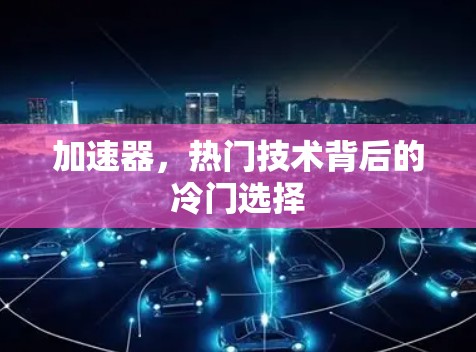 加速器,热门技术背后的冷门选择 加速器,热门技术背后的冷门选择