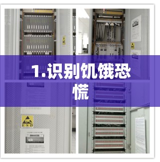 1.识别饥饿恐慌 1.识别饥饿恐慌