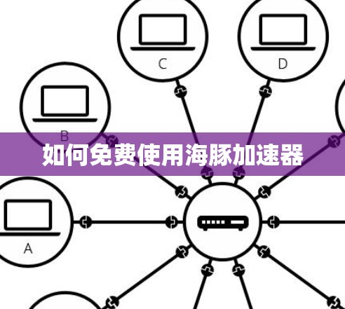 如何免费使用海豚加速器 如何免费使用海豚加速器