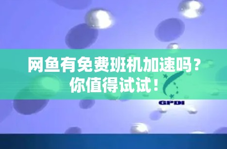 网鱼有免费班机加速吗?你值得试试!