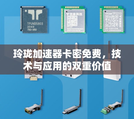 玲珑加速器卡密免费,技术与应用的双重价值 玲珑加速器卡密免费,技术与应用的双重价值
