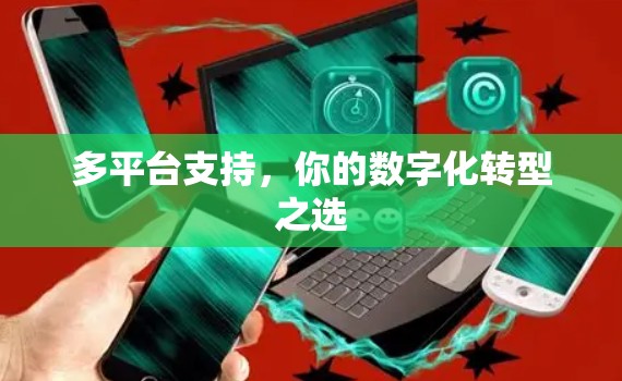 多平台支持,你的数字化转型之选 多平台支持,你的数字化转型之选