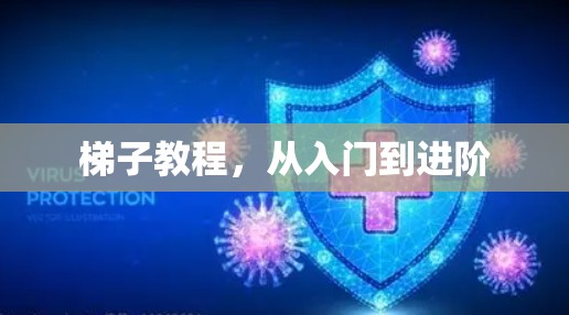 梯子教程,从入门到进阶 梯子教程,从入门到进阶