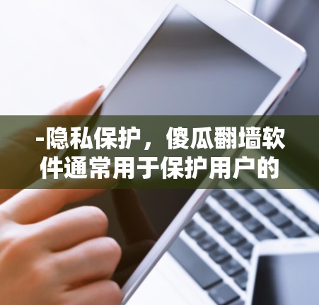 -隐私保护,傻瓜翻墙软件通常用于保护用户的个人信息,避免被网络诈骗、网络购物或其他违法行为利用
