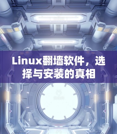 Linux翻墙软件,选择与安装的真相
