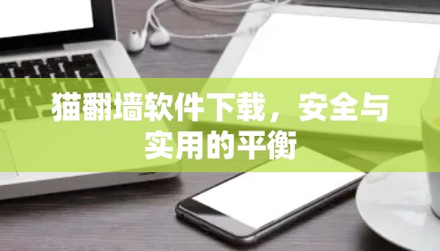 猫翻墙软件下载，安全与实用的平衡