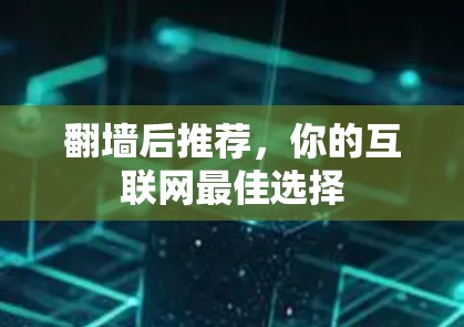 翻墙后推荐,你的互联网最佳选择