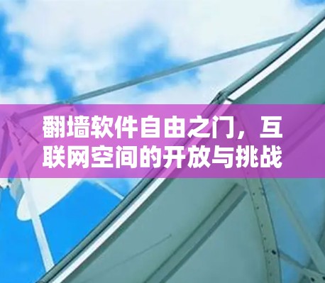 翻墙软件自由之门，互联网空间的开放与挑战