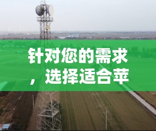 针对您的需求,选择适合苹果设备的翻墙软件时,建议以下几种选择
