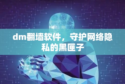 dm翻墙软件,守护网络隐私的黑匣子