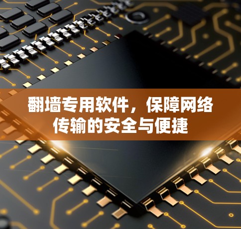 翻墙专用软件,保障网络传输的安全与便捷