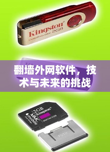 翻墙外网软件,技术与未来的挑战