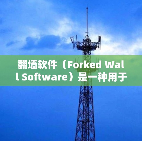 翻墙软件(Forked Wall Software)是一种用于网络控制和管理的工具,旨在保护服务器和网络资源免受访问。以下是关于翻墙软件的详细分析