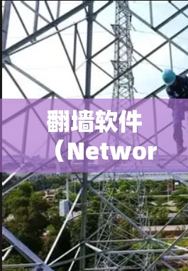 翻墙软件(Network Switcher)通常用于管理互联网访问,帮助用户从外网访问内部服务器或设备,或从内部设备访问外部网络。以下是一些常见的翻墙软件推荐,帮助您轻松管理网络访问