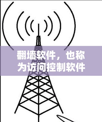 翻墙软件，也称为访问控制软件（VCS）用于在特定的网络环境中访问其他网络资源。以下是一些常见的翻墙软件和工具