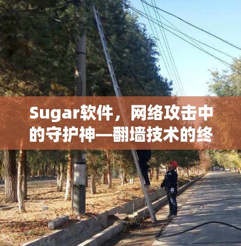 Sugar软件,网络攻击中的守护神—翻墙技术的终极秘籍