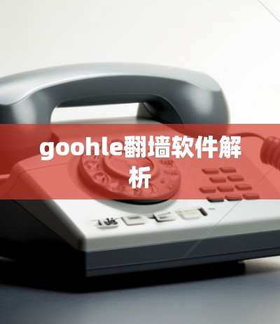 goohle翻墙软件解析