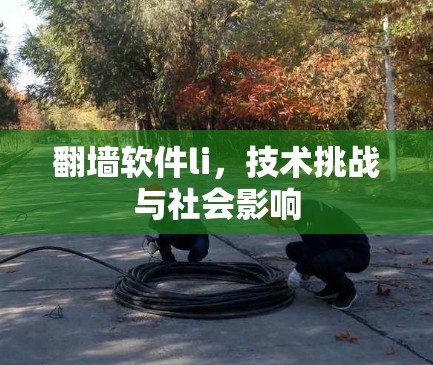 翻墙软件li，技术挑战与社会影响