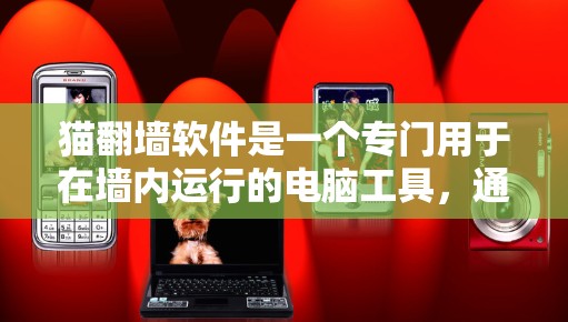猫翻墙软件是一个专门用于在墙内运行的电脑工具，通过网络连接到服务器，以提高数据传输效率和安全性。以下是一些关键点和步骤指南
