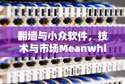 翻墙与小众软件，技术与市场Meanwhile